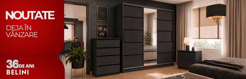 szafa 786x253 ro