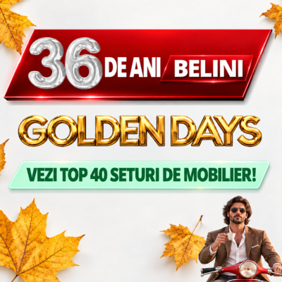 36 de ani BELINI